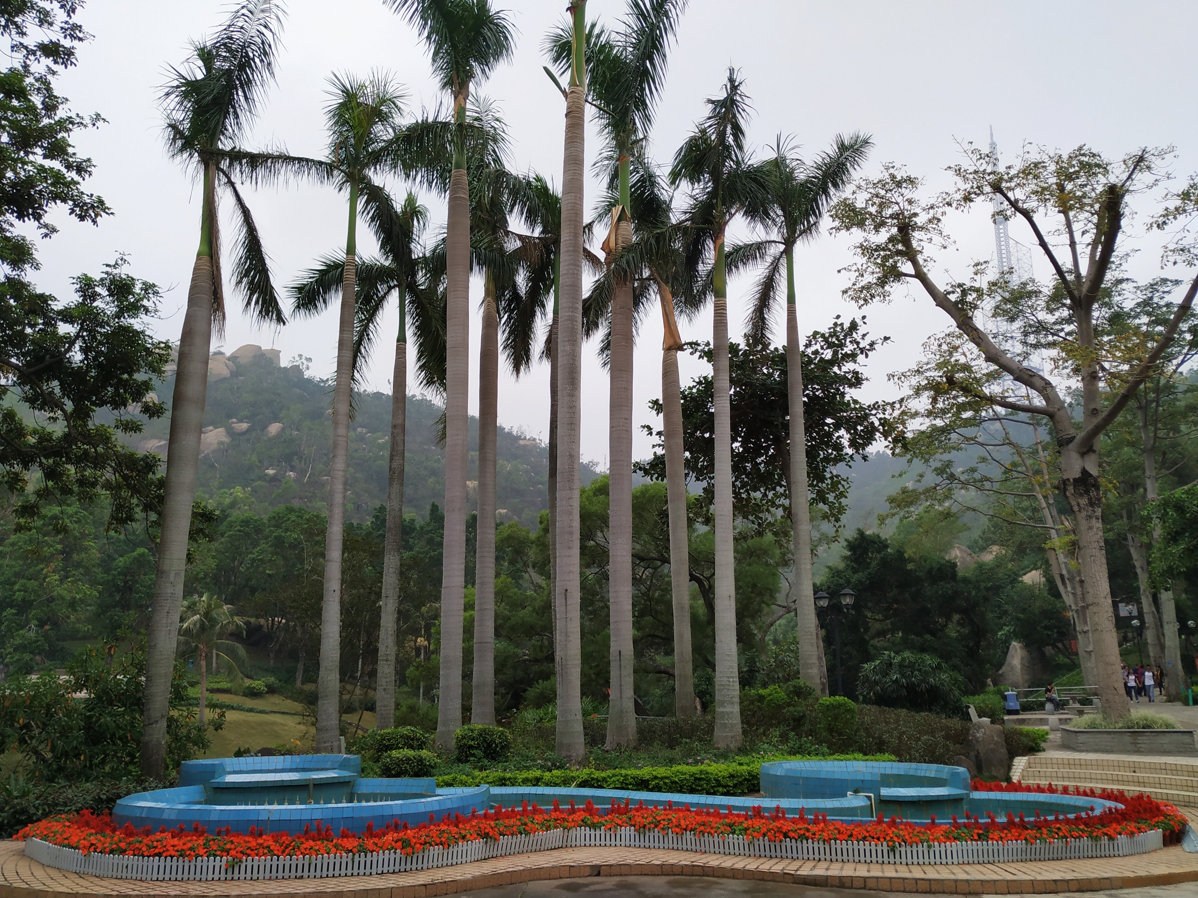 珠海景山公园旅游,珠海景山旅游攻略路线推荐