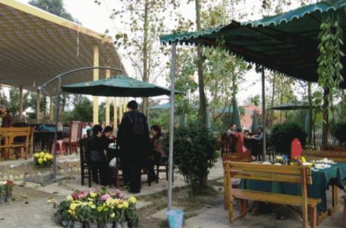 成都哪些值得去的农家乐,春季成都十大必去农家乐