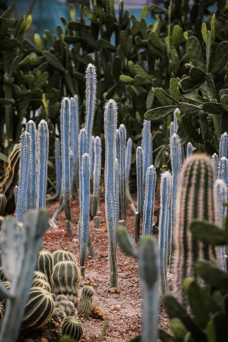 在大山深处幽静绝美的村落,深藏大山中的村落
