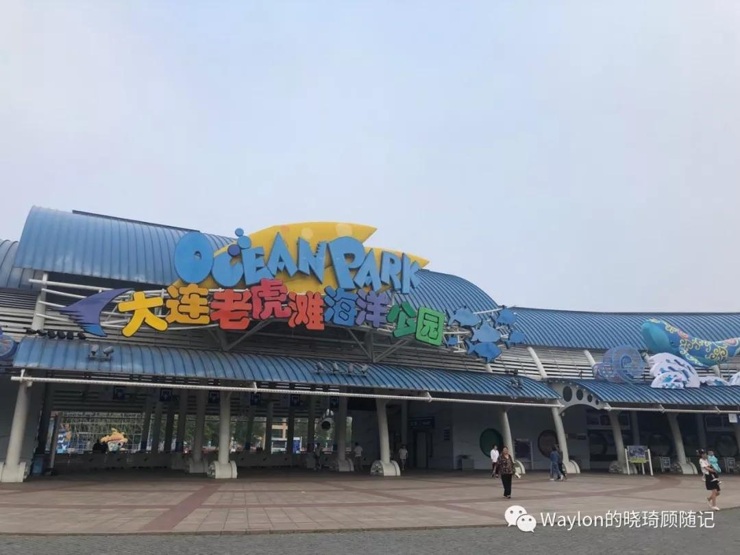 2019新西兰,2019年新西兰