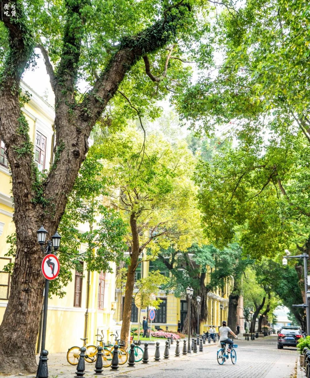 疫情下的麦当劳啥样,疫情过后麦当劳该长啥样