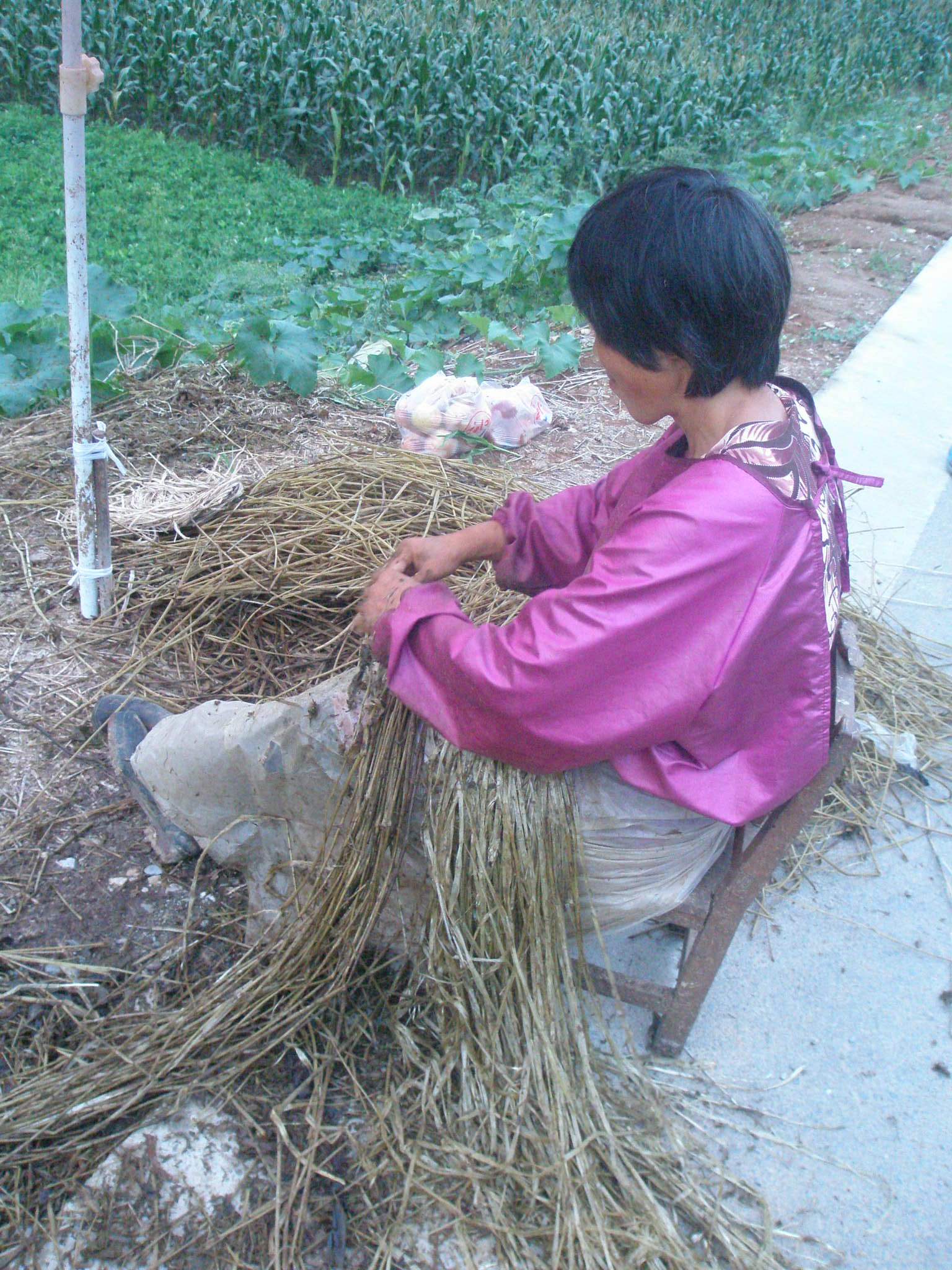 秦楚古道一日游攻略,秦楚古道自驾游攻略