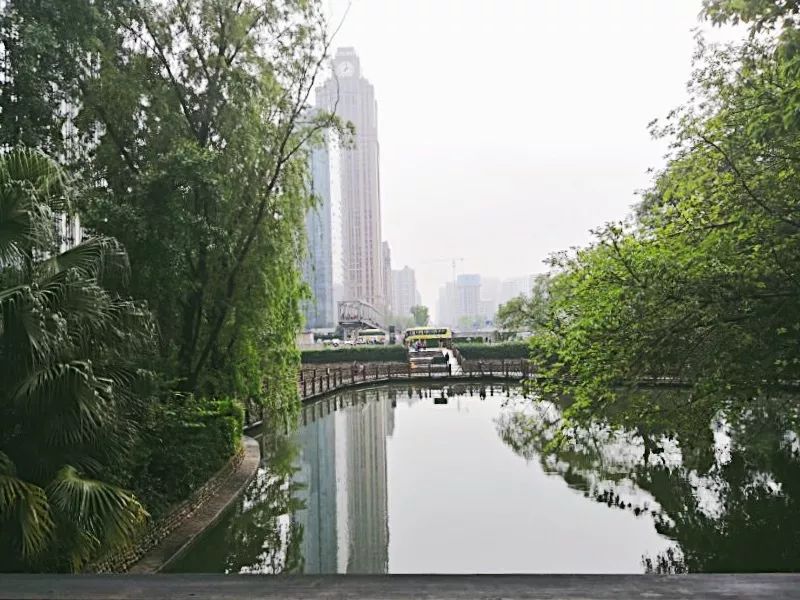 住在南门的人，收藏夹里藏了啥