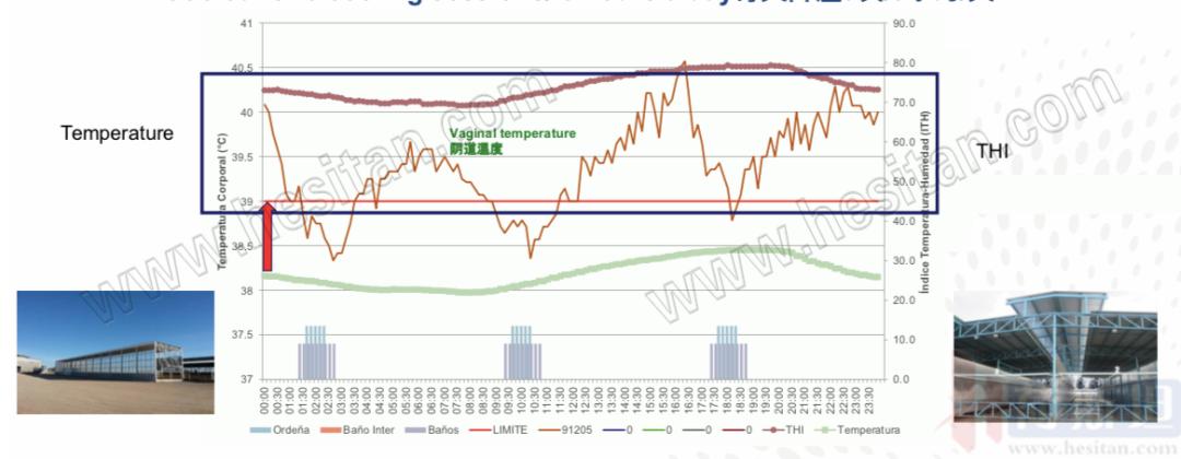 以色列实战经验:热应激管理4大关键点夏季疾病防控