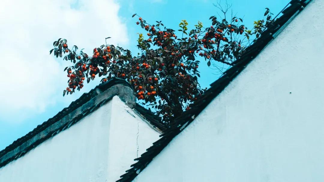 颜色起名法,什么颜色起名字好看