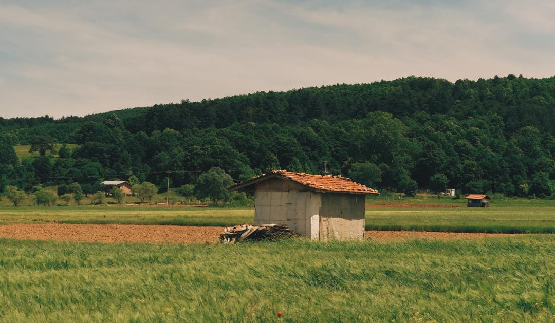 二十六岁的我一事无成，没有男友没有稳定工作怎么办？