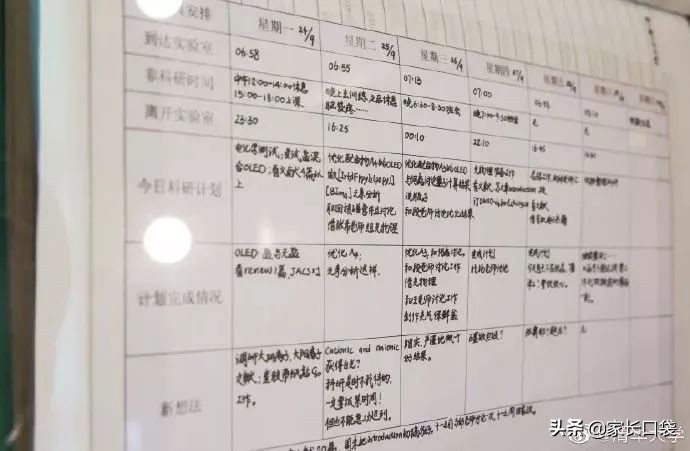 鸡娃日常规划假日,鸡娃计划表完整版
