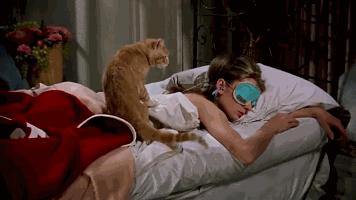 怎样减内脏脂肪最快最有效教程,减内脏脂肪最快的2个方法