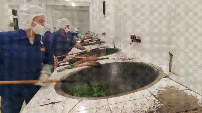 盼了一年的好茶,勐库戎氏古树茶2010秋茶