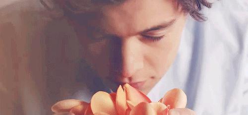 鼠年限定礼盒推荐,鼠年限定有几款