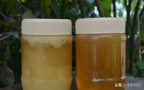 网上买来的蜂蜜咋辨别真假,维也纳酒店蜂蜜如何辨别真假