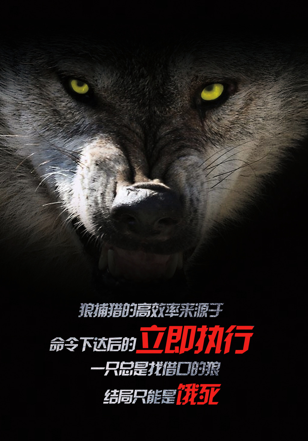 这才是狼性精神!老板拿去,直接给员工讲,领悟透彻,指哪打哪