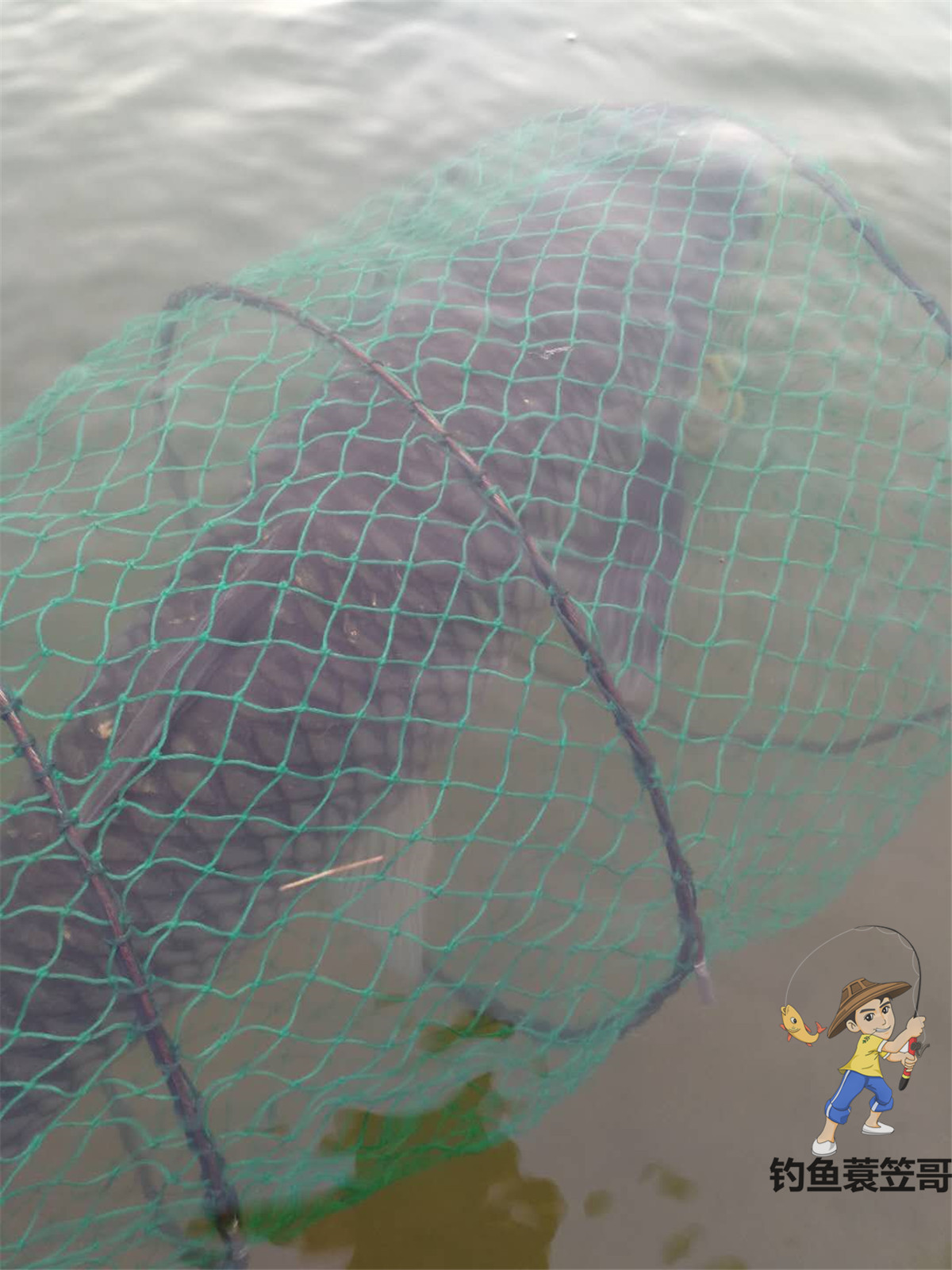 钓鱼人的精彩瞬间,钓鱼人的高光时刻是什么