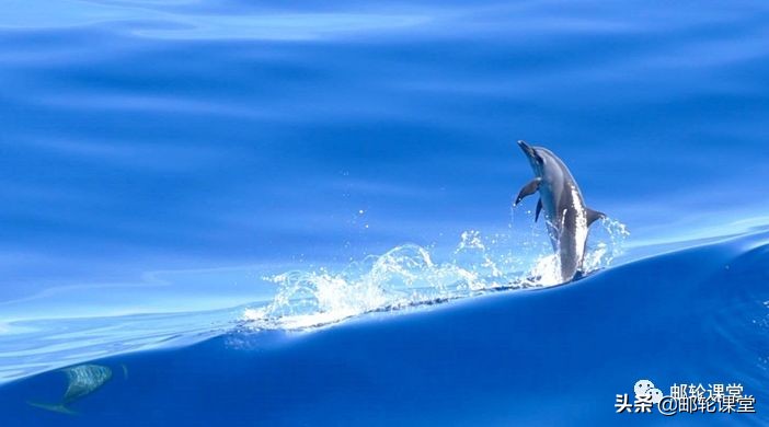 厦门去冰岛旅行攻略,厦门出发冰岛旅游攻略