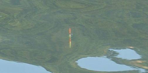 十种常见的漂相图解,各种漂型优缺点图解