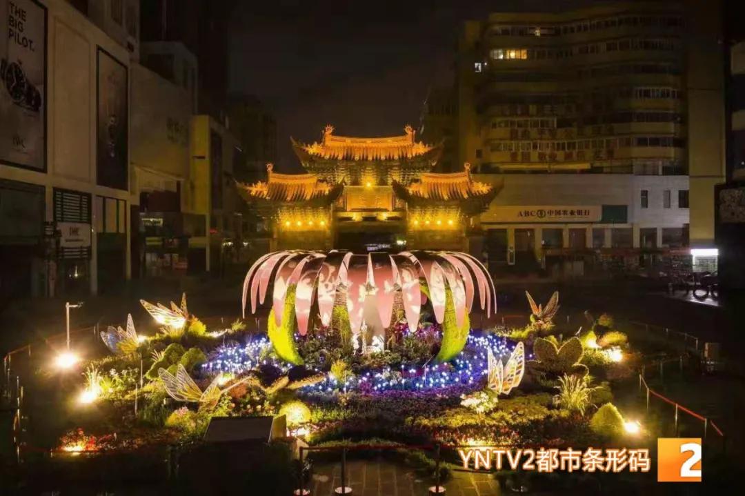 昆明100个立体花坛位置,昆明cop15立体花坛