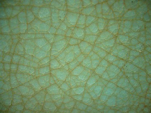 汝窑开片的六大特征,汝窑的开片是怎么形成的