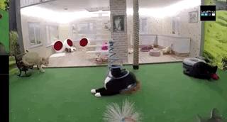 是时候公开我最嫉妒的这30万人了