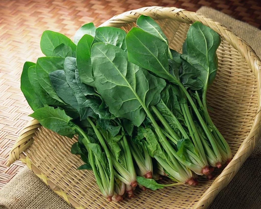 食材的故事,食材的故事500个