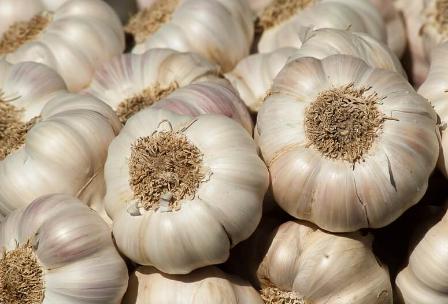 7月大蒜多少钱一斤？买卖双方议价，整体货源走动一般