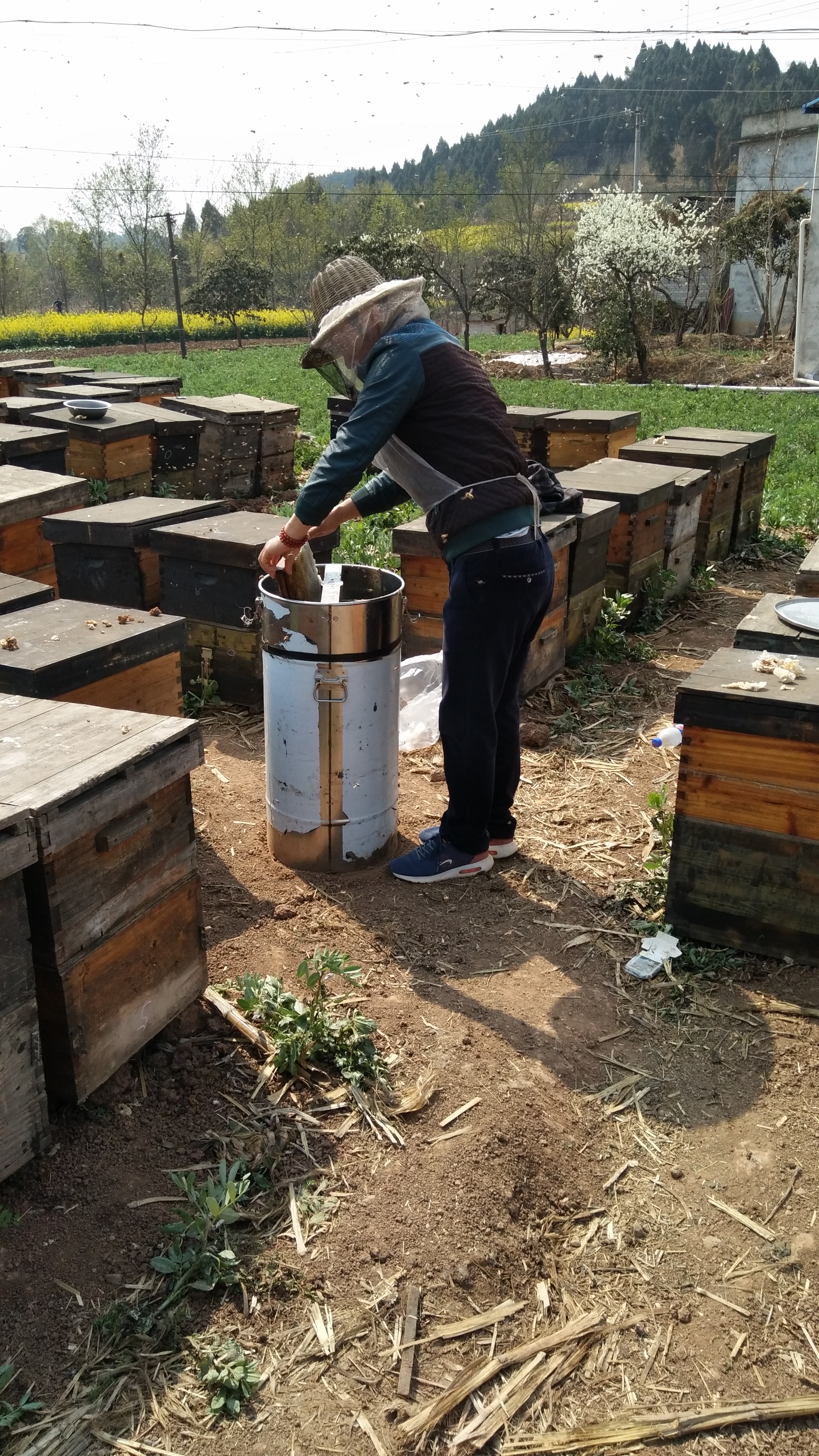 “转场蜜蜂”被纳入应急运输保障范围，路通了，但蜜源地村长说：你是外地人，不让进村