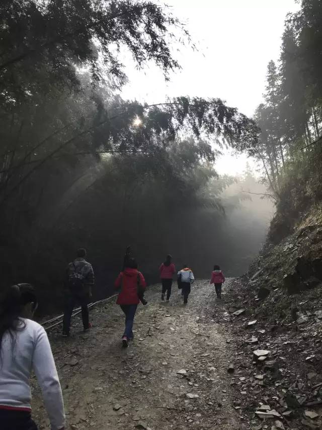 湖南益阳被救女孩,湖南益阳女子被救助