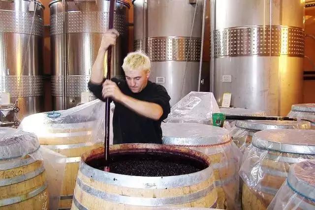 山姆勃艮第黑皮诺葡萄酒,勃艮第黑皮诺干红葡萄酒价格