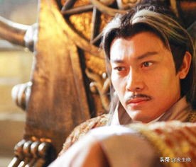 大唐双龙传宇文化及武功,大唐双龙传武功秘籍大全