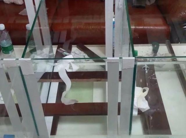 做缸技术难点,做缸的正确方法