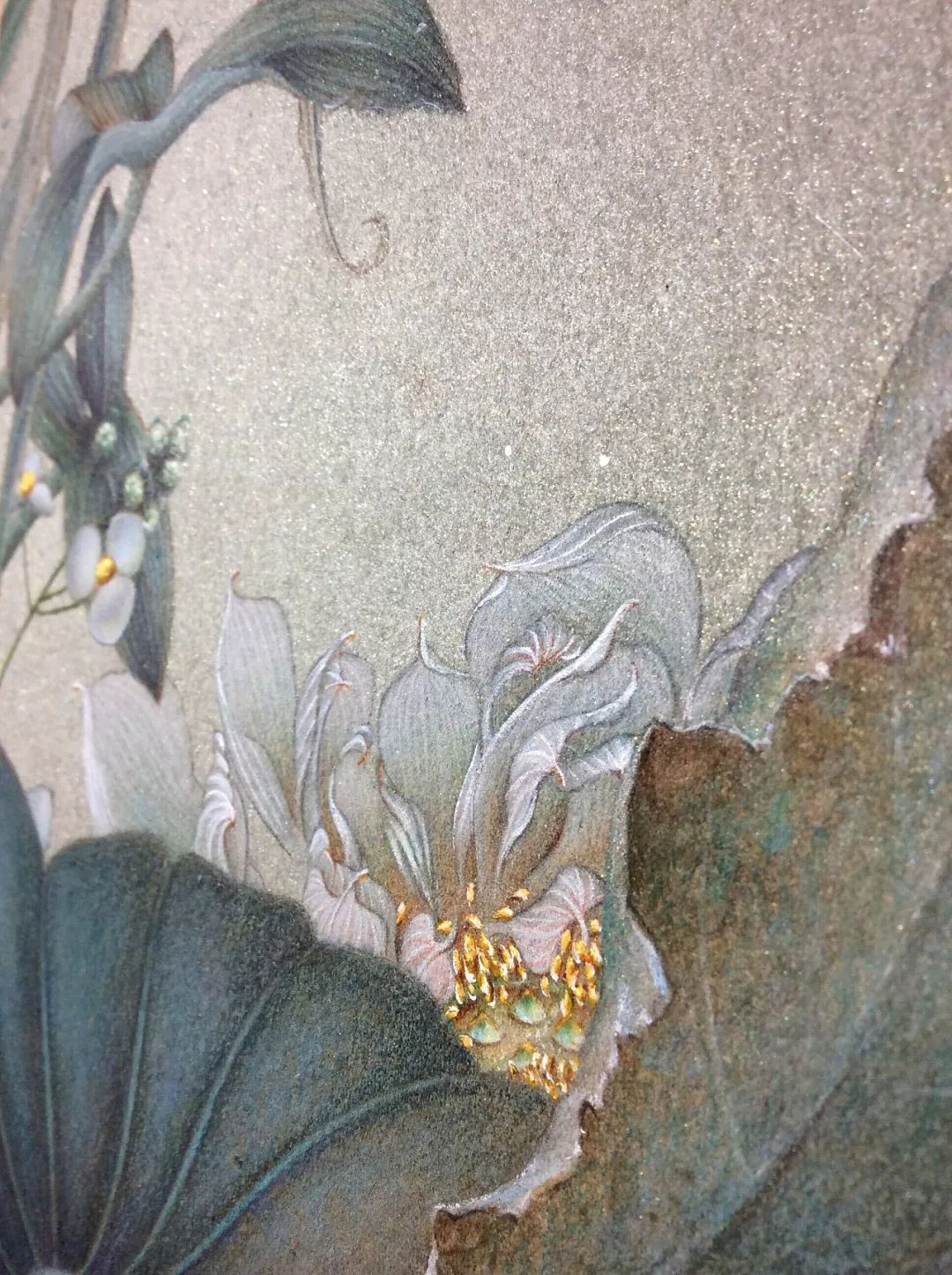 美到炸裂的古风美人,美到极致的古风美人