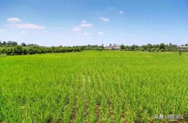 蒲江乡村风光,四川十大贫困县蒲江