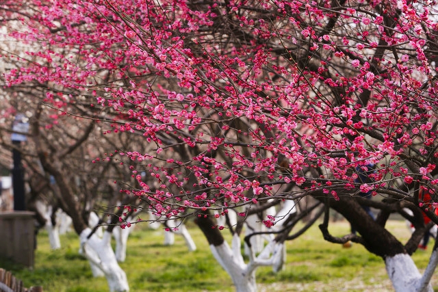 杭州最好的景点打卡排行榜,杭州萧山看飞机网红打卡点