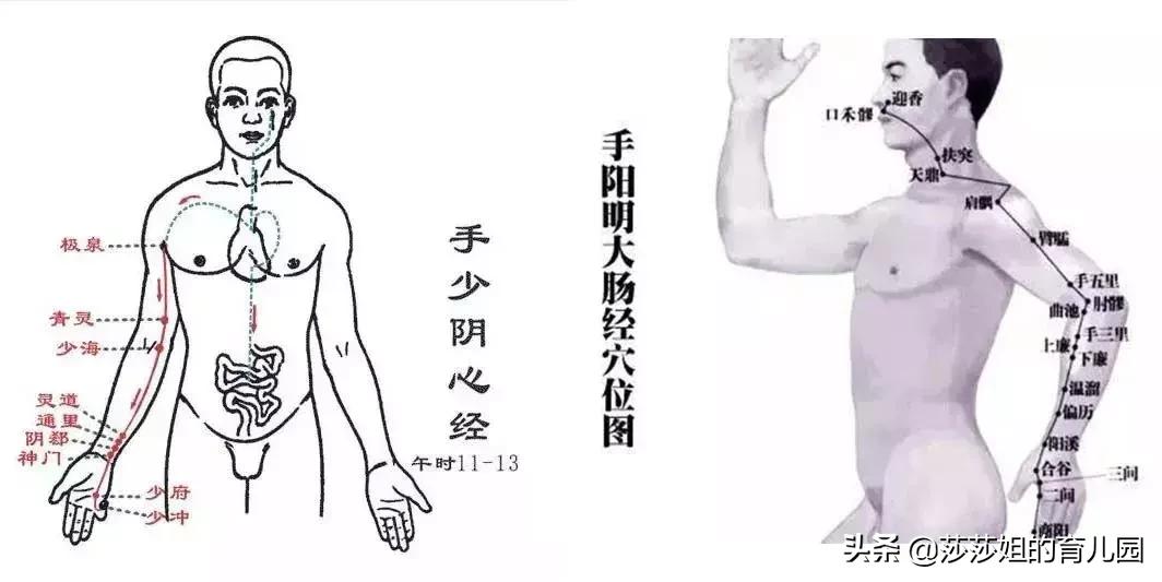 上身胖是脾胃不好下身胖,肚子胖到底是脾问题还是肾问题