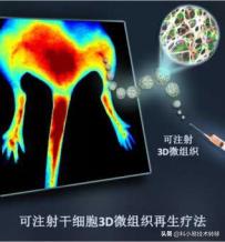 「项目精选」103期：生物医药领域精选科技成果推荐