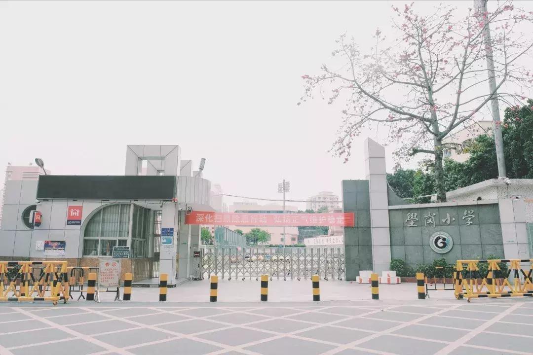 每个地方都有个沙井,好多地方叫沙井