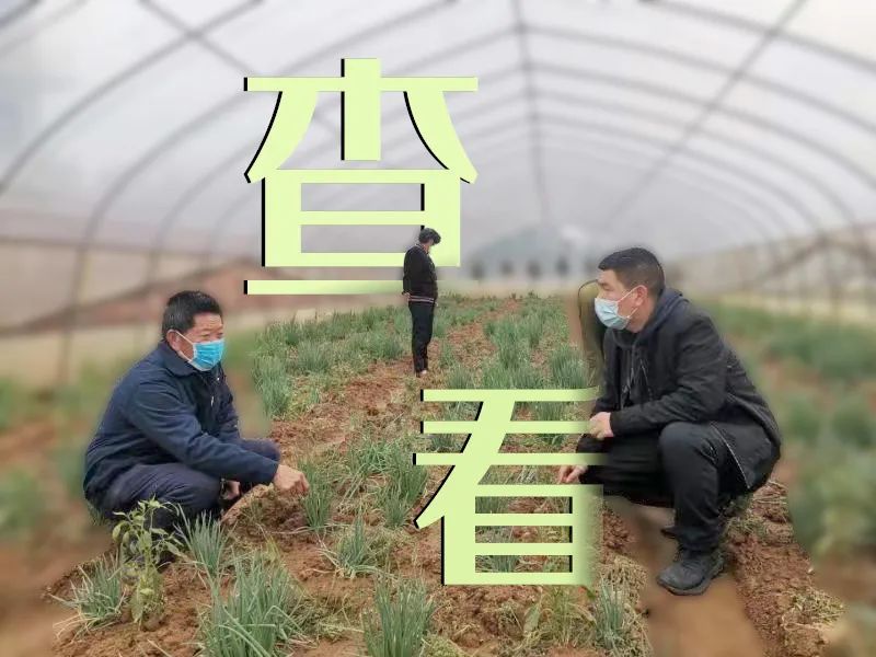 贴贴贴贴贴贴贴贴贴