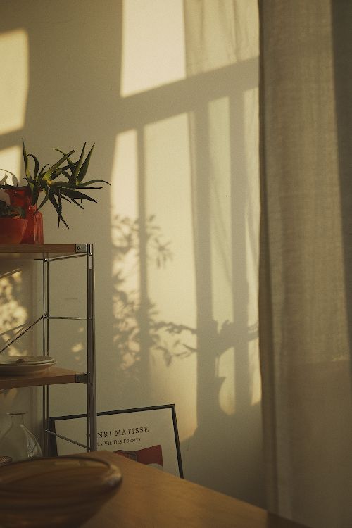 女生必备：QQ,微信背景图