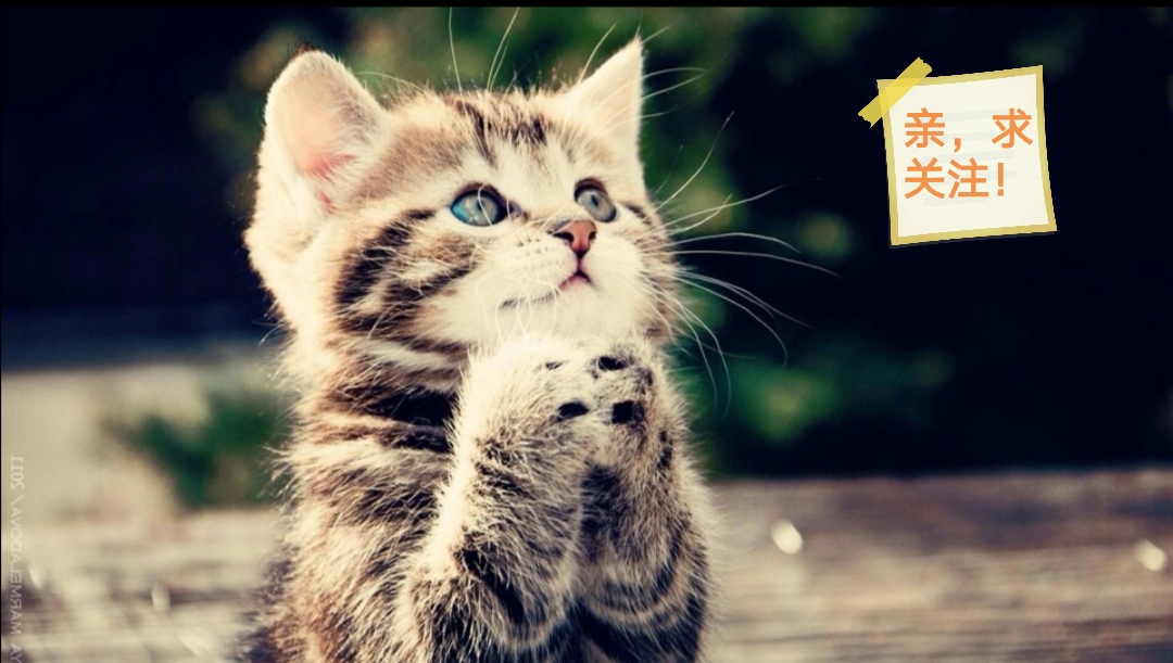 20部高质量完本网络小说推荐,十本题材新颖的高质量小说推荐