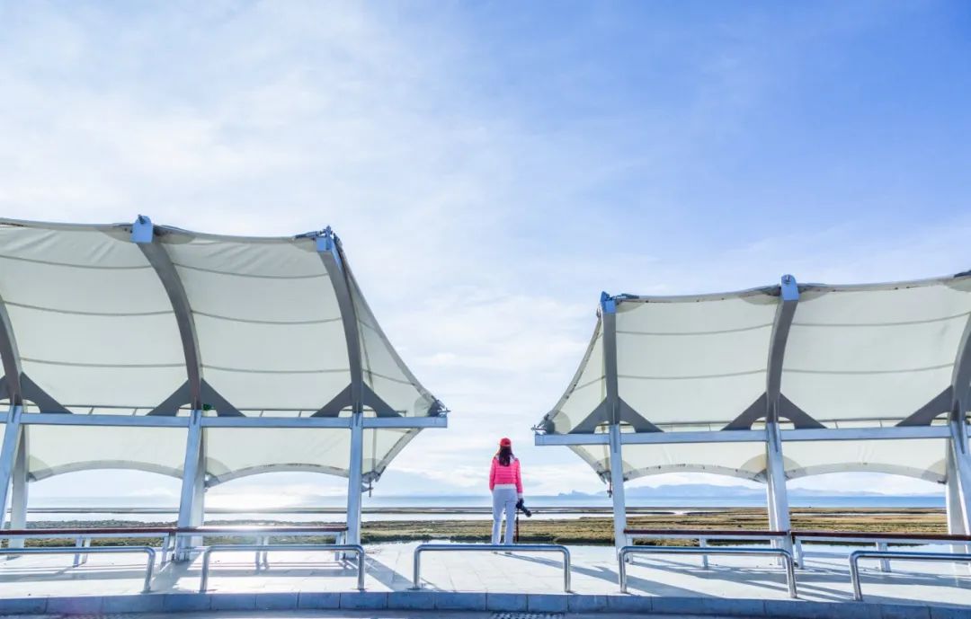 涂舍故事丨43.“上海名媛”？中国“真名媛”更多