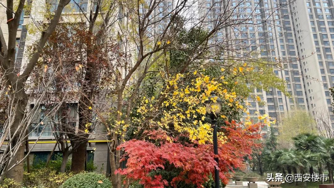 千林郡房价多少钱一平方,曲江千林郡2万左右房