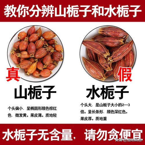 野生栀子泡水喝的功效,野生山栀子功效