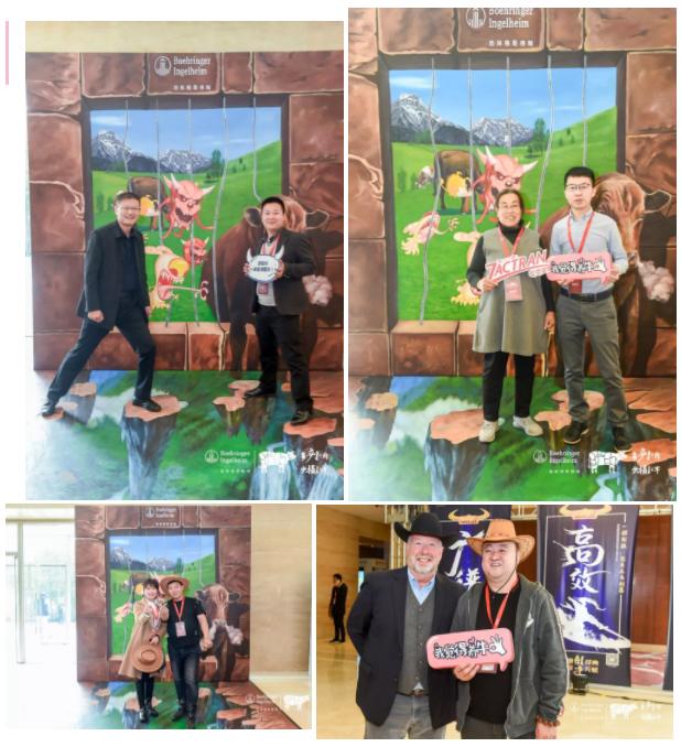 这一次，风口上站的是肉牛