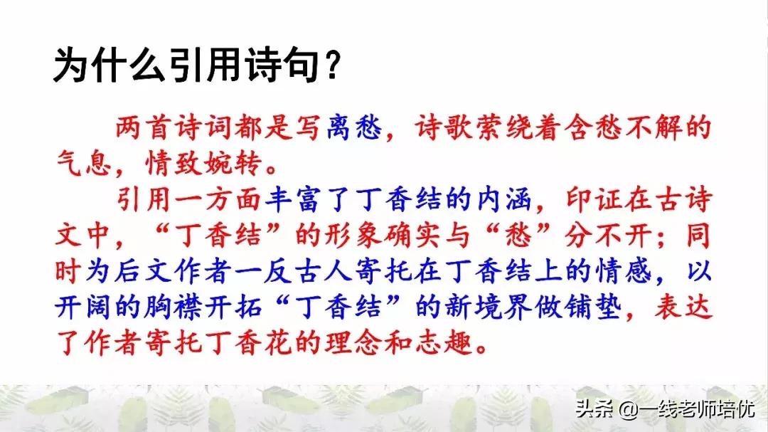 六年级上册第二课丁香结知识点,部编版六年级上册语文丁香结预习