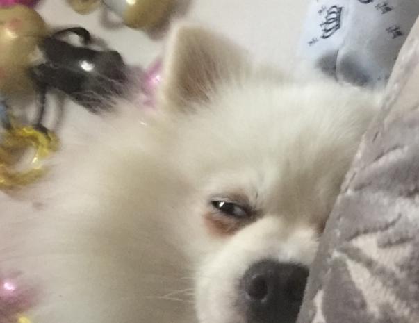 拥有五星级床品，在家的每一天都是度假