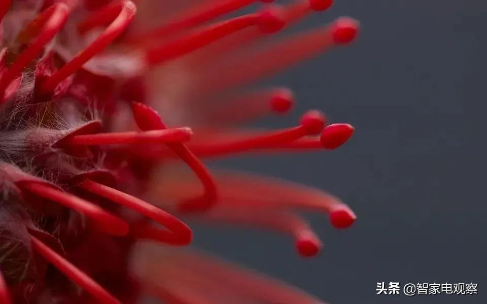 制冷剂价格飙涨,制冷剂价格普遍上涨