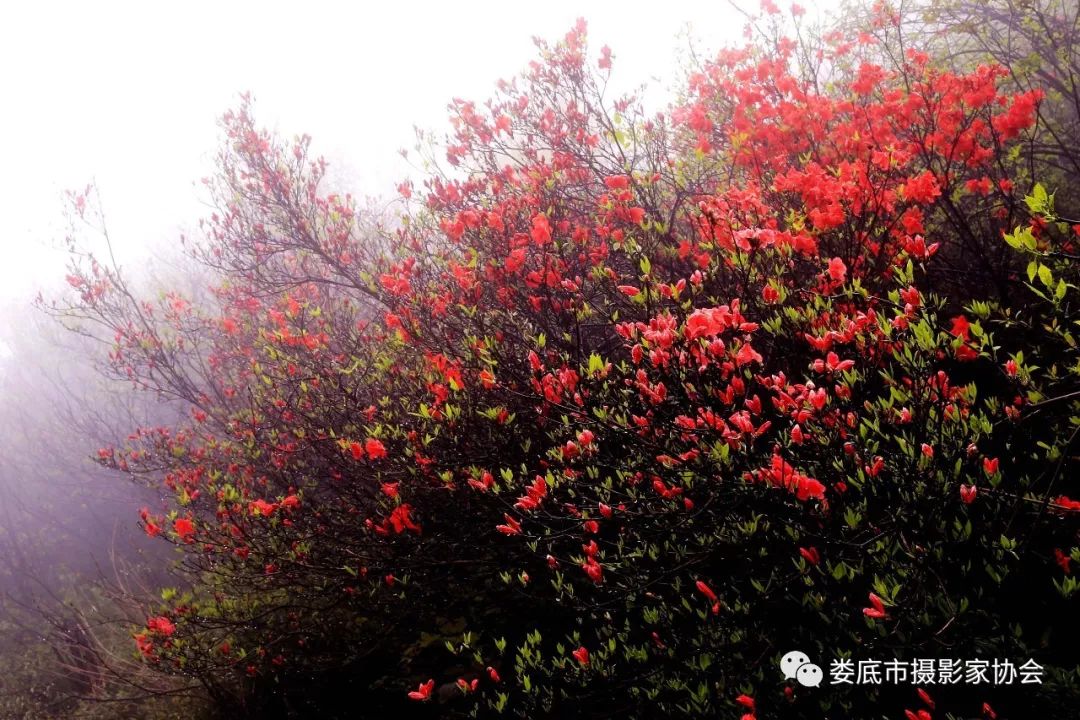 最新风景摄影小品欣赏,娄底景观小品