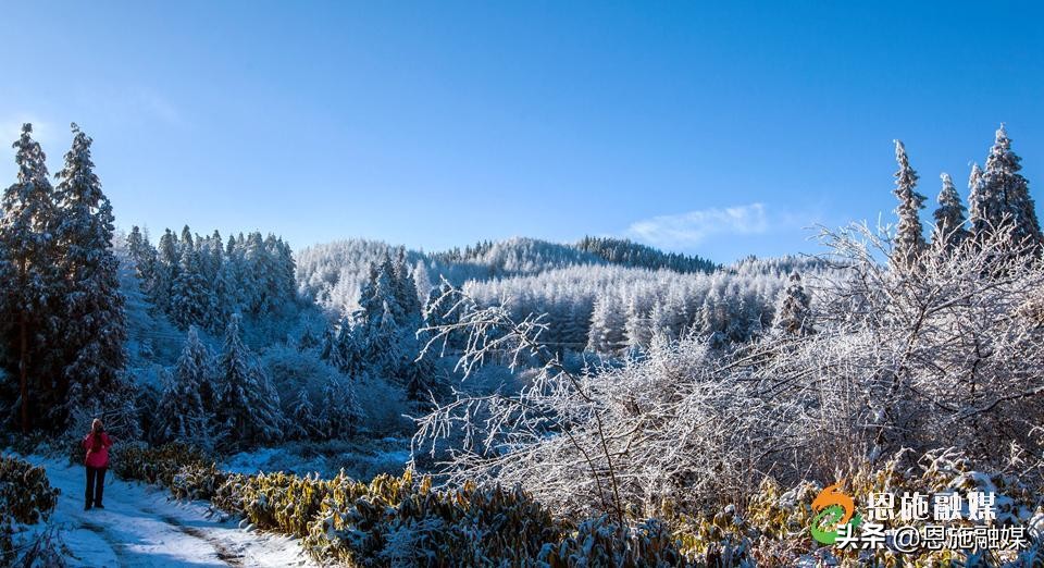 李伦英:用镜头记录家乡的美丽