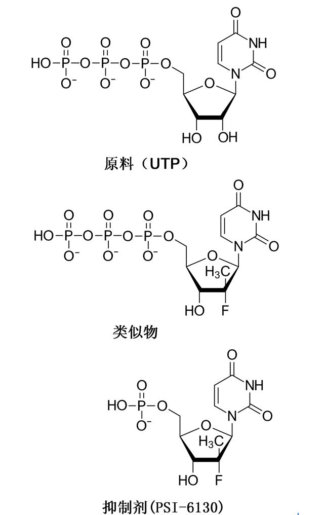 从没有疫苗到12周治愈，神药是如何诞生的？