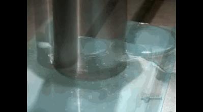 摄影八种镜头,摄影初学者需要什么样的镜头