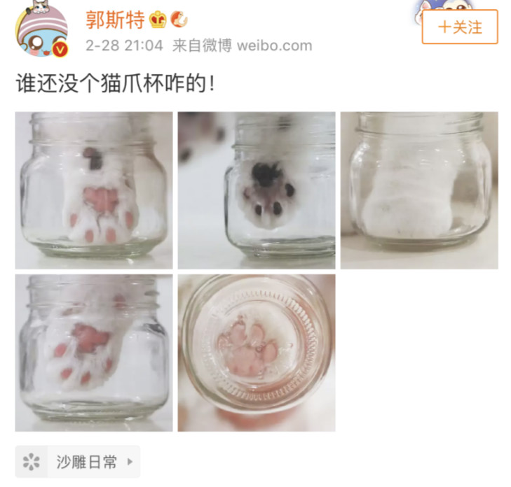 吸猫最高境界图片,吸猫最高境界完整视频